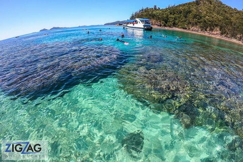 Whitehaven Beach Day Tour With Snorkel In Whitsundays Island - Accommodation Tasmania 5
