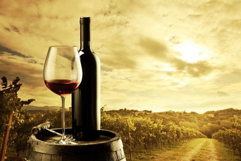 Barossa Valley Cellar Doors Luxury Wine Tour - Accommodation Tasmania 0