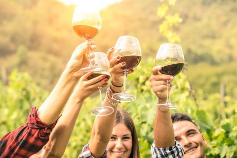 Barossa Valley Cellar Doors Luxury Wine Tour - Accommodation Tasmania 1