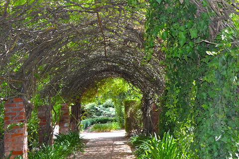 Barossa Valley Cellar Doors Luxury Wine Tour - Accommodation Tasmania 3
