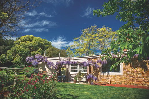McLaren Vale Winery Small Group Tour With Wine Tasting And Lunch - Accommodation Tasmania 2