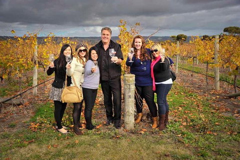 McLaren Vale Winery Small Group Tour With Wine Tasting And Lunch - Accommodation Tasmania 3