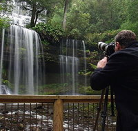 Mt Field and Styx Valley Photography Tour - Accommodation Tasmania