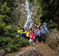 5-Day Lap of Tasmania Tour from Hobart flexible ticket - Accommodation Tasmania