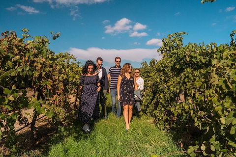 Barossa Valley Private Tour (from 2 To 11 People) - Accommodation Tasmania 0