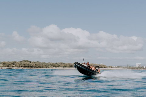 Adventure Rafting - Accommodation Tasmania 3
