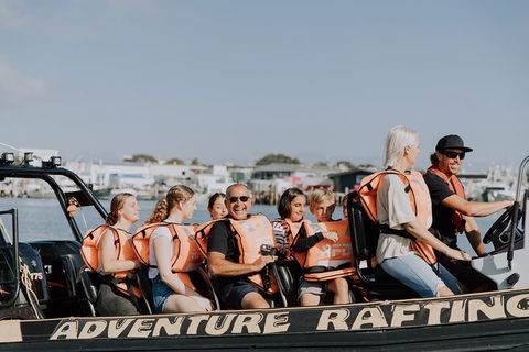 Adventure Whale Watching Tour Mooloolaba - Accommodation Tasmania 4