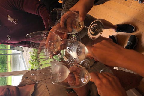 Small-Group Guided Yarra Valley Winery Tour With Wine Tasting - Accommodation Tasmania 0