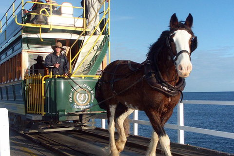 Full-Day Tour In South Australia Highlights - Accommodation Tasmania 1