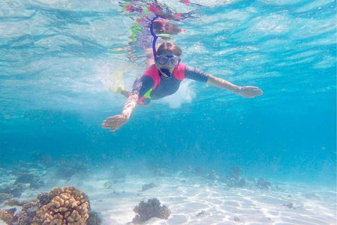 Lagoon Explorer - Ningaloo Reef Full-Day Kayaking And Snorkeling Adventure - Accommodation Tasmania 5