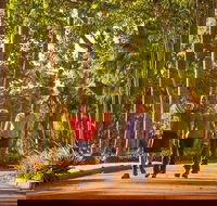 Darwin City Sights and Jumping Crocodile Cruise - Accommodation Tasmania