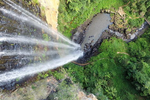 Natural Bridge & Springbrook Waterfalls Tour + Hot Air Balloon With Breakfast - Accommodation Tasmania 1