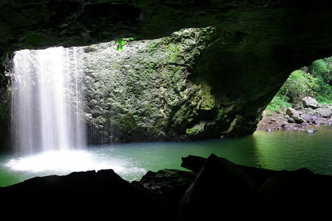 Natural Bridge & Springbrook Waterfalls Tour + Hot Air Balloon With Breakfast - Accommodation Tasmania 2