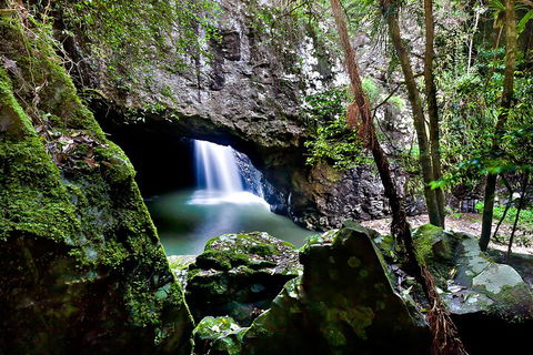 Natural Bridge & Springbrook Waterfalls Tour + Hot Air Balloon With Breakfast - Accommodation Tasmania 4