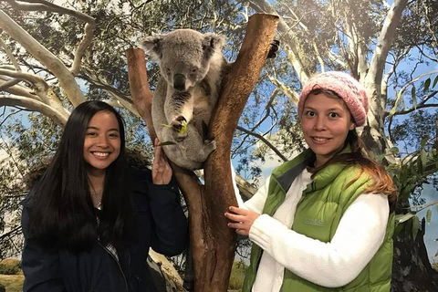 Australia Multi-City Attractions Pass - Accommodation Tasmania 3