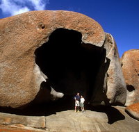 Full-Day Kangaroo Island Safari from Penneshaw - Accommodation Tasmania