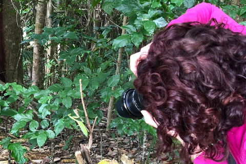 Let's Go Buggin & Let's Go Shroomin - Photography & Nature Walking Tours - Accommodation Tasmania 1