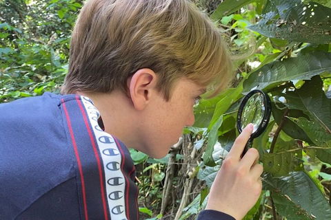 Let's Go Buggin & Let's Go Shroomin - Photography & Nature Walking Tours - Accommodation Tasmania 3