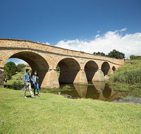 Bonorong Wildlife Park and Richmond Afternoon Tour from Hobart - Accommodation Tasmania