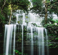 Mt Field National Park and Russell Falls from Hobart - Accommodation Tasmania
