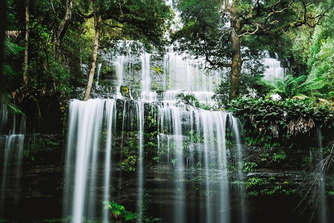 Mt Field National Park And Russell Falls From Hobart - Accommodation Tasmania 0