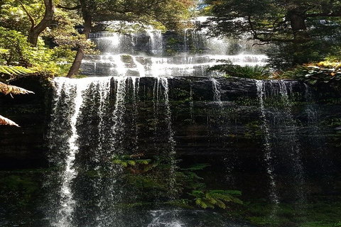 Mt Field National Park And Russell Falls From Hobart - Accommodation Tasmania 2
