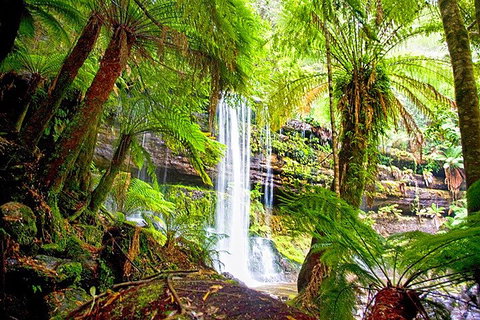 Mt Field National Park And Russell Falls From Hobart - Accommodation Tasmania 4