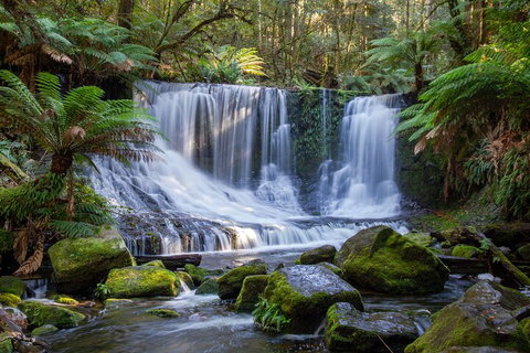 Mt Field National Park And Russell Falls From Hobart - Accommodation Tasmania 5