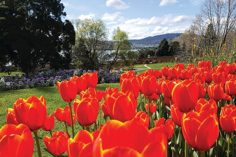 Hobart Half-Day Sightseeing Coach Tram Tour - Accommodation Tasmania 4