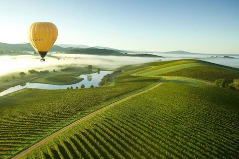 Half-Day Or Full-Day Tour With Private Guide From Melbourne - Accommodation Tasmania 4