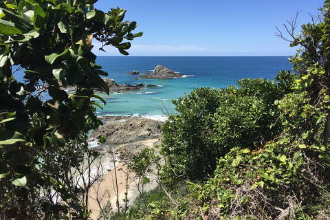 Behind The Bay - Explore Like A Local - Accommodation Tasmania 1