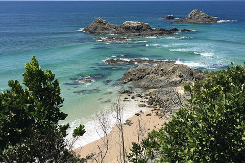 Behind The Bay - Explore Like A Local - Accommodation Tasmania 3