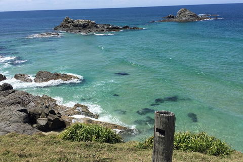 Behind The Bay - Explore Like A Local - Accommodation Tasmania 5