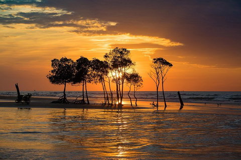 Delightful Darwin Self-Guided Audio Tour - Accommodation Tasmania 3