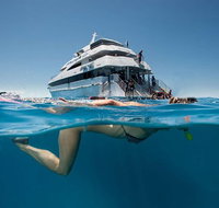 3 Day Great Barrier Reef Daintree Rainforest and Outback Chillagoe Tour - Accommodation Tasmania
