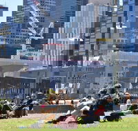 Personalised Half Day With A Local In Melbourne - Accommodation Tasmania