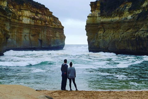 Great Ocean Road Small-Group Ecotour From Melbourne - Accommodation Tasmania 1