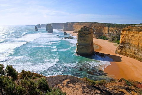 Great Ocean Road Small-Group Ecotour From Melbourne - Accommodation Tasmania 2