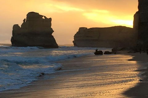 Great Ocean Road Small-Group Ecotour From Melbourne - Accommodation Tasmania 5