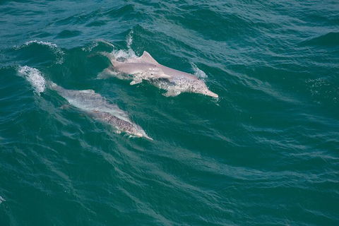 North Stradbroke Island Private Tour With Pickup - Accommodation Tasmania 0