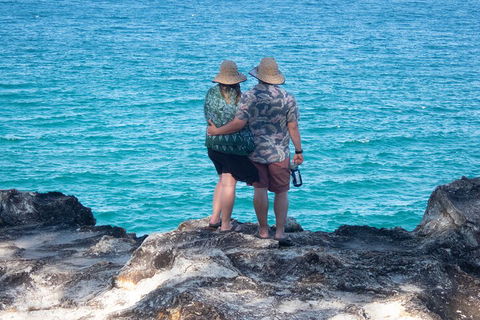 North Stradbroke Island Private Tour With Pickup - Accommodation Tasmania 4
