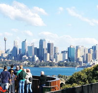 Sydney Harbour Ferry with Taronga Zoo Entry Ticket - Accommodation Tasmania