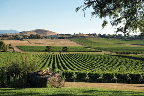 Small Group 6 Guests: Ultimate Yarra Valley Food And Wine - Mercedes Van - Accommodation Tasmania 4