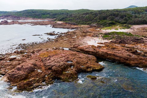 Port Stephens Bush, Beach And Sand Dune 4WD Tag-Along Tour - Accommodation Tasmania 4