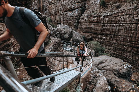 Small Group - Grampians Hiking Day Tour From Melbourne - Accommodation Tasmania 1