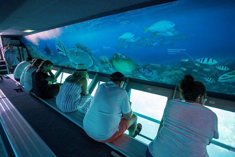 Great Barrier Reef Day Cruise To Reefworld - Accommodation Tasmania 0