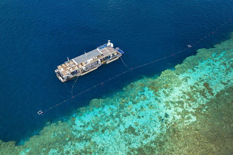 Great Barrier Reef Day Cruise To Reefworld - Accommodation Tasmania 2