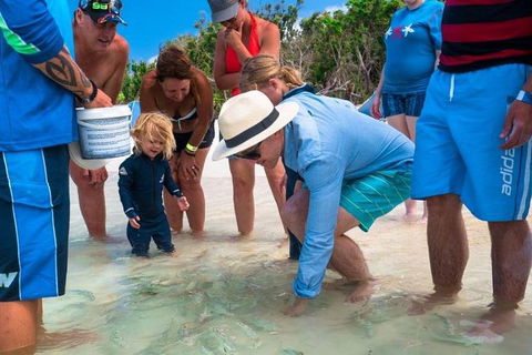 Whitehaven Beach And Hamilton Island Cruise - Accommodation Tasmania 1