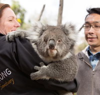 Bonorong Wildlife Park and Richmond Afternoon Tour from Hobart - Accommodation Tasmania