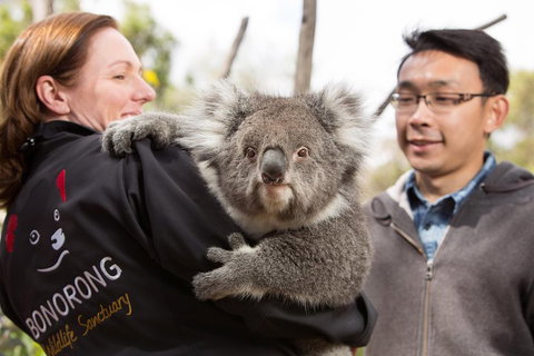 Bonorong Wildlife Park And Richmond Afternoon Tour From Hobart - Accommodation Tasmania 0